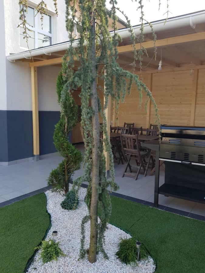 Vila Yly Eforie Nord Exteriér fotografie